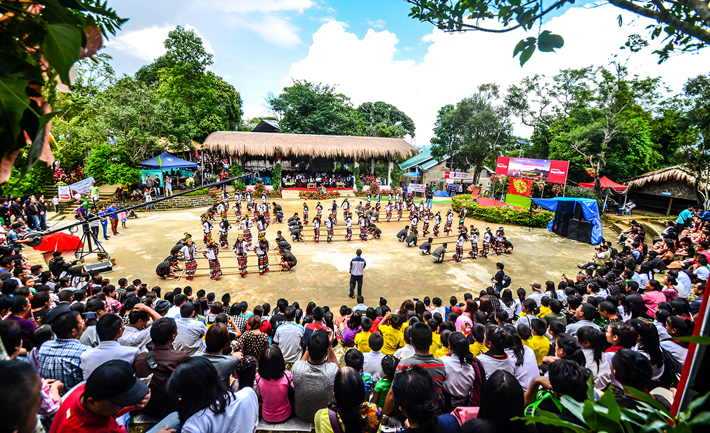 anthurium-festival