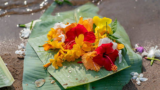 biju-festival