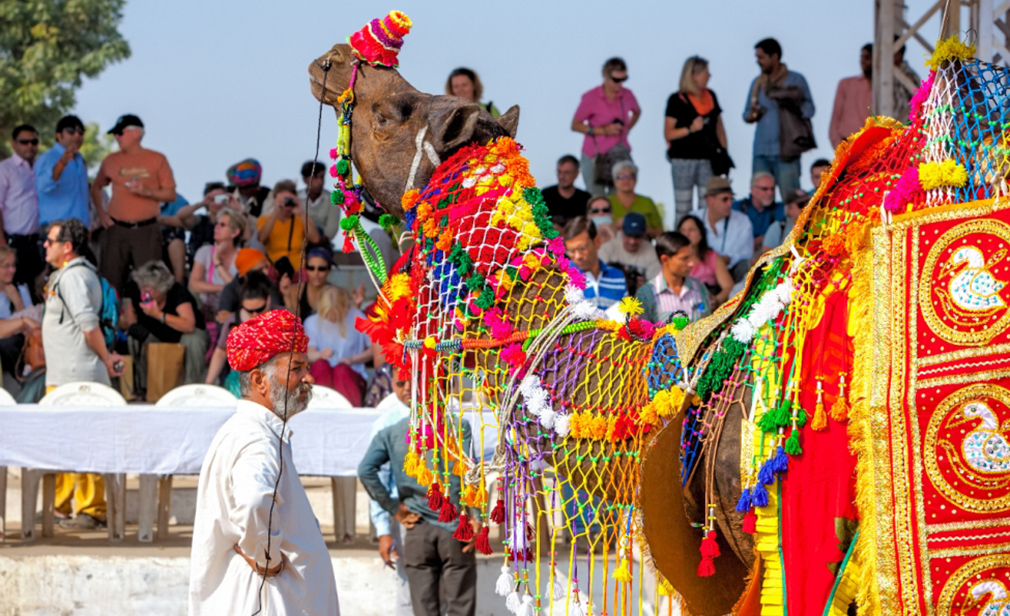 pushkar-camel-fair-body