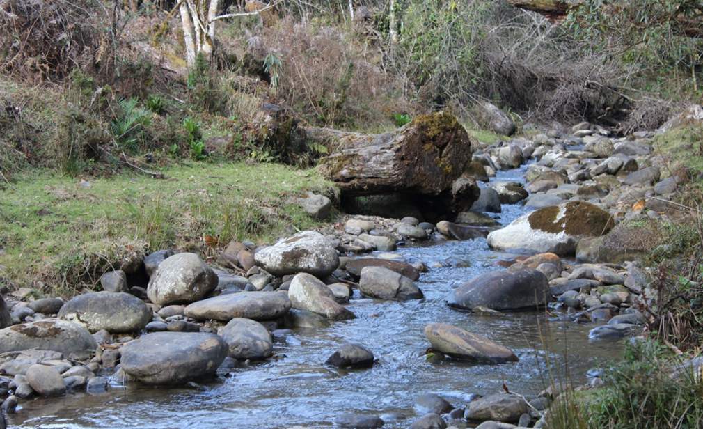 dzuleke-river-kohima-rural-body