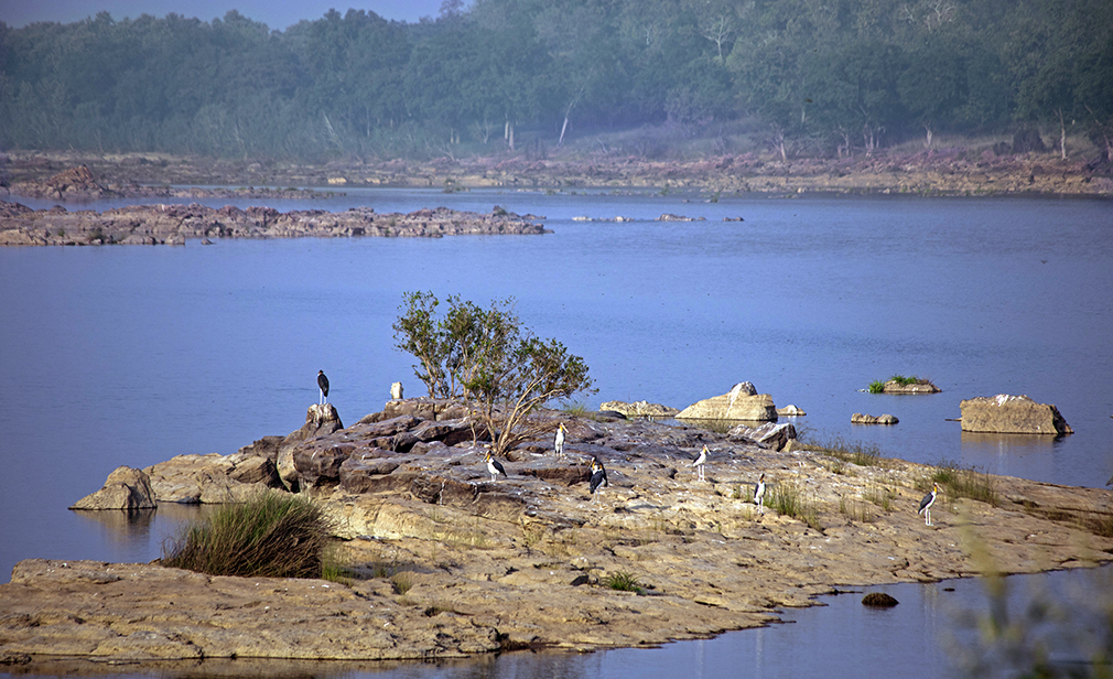 panna-national-park-rural-body