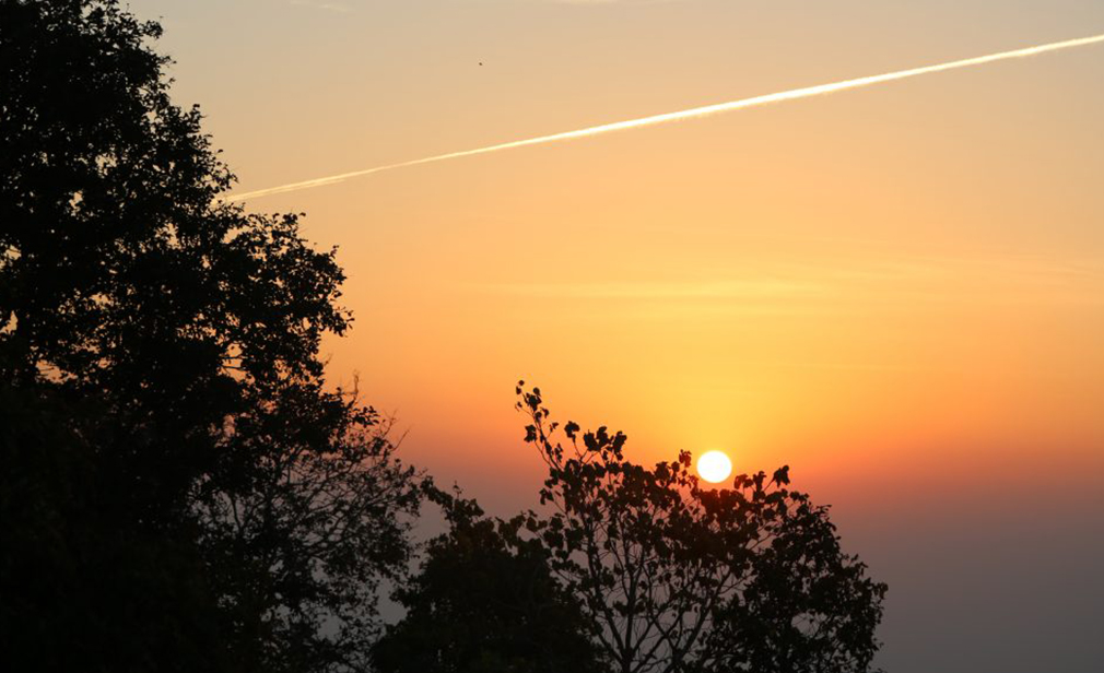 bhoramdev-sanctuary-rural-body