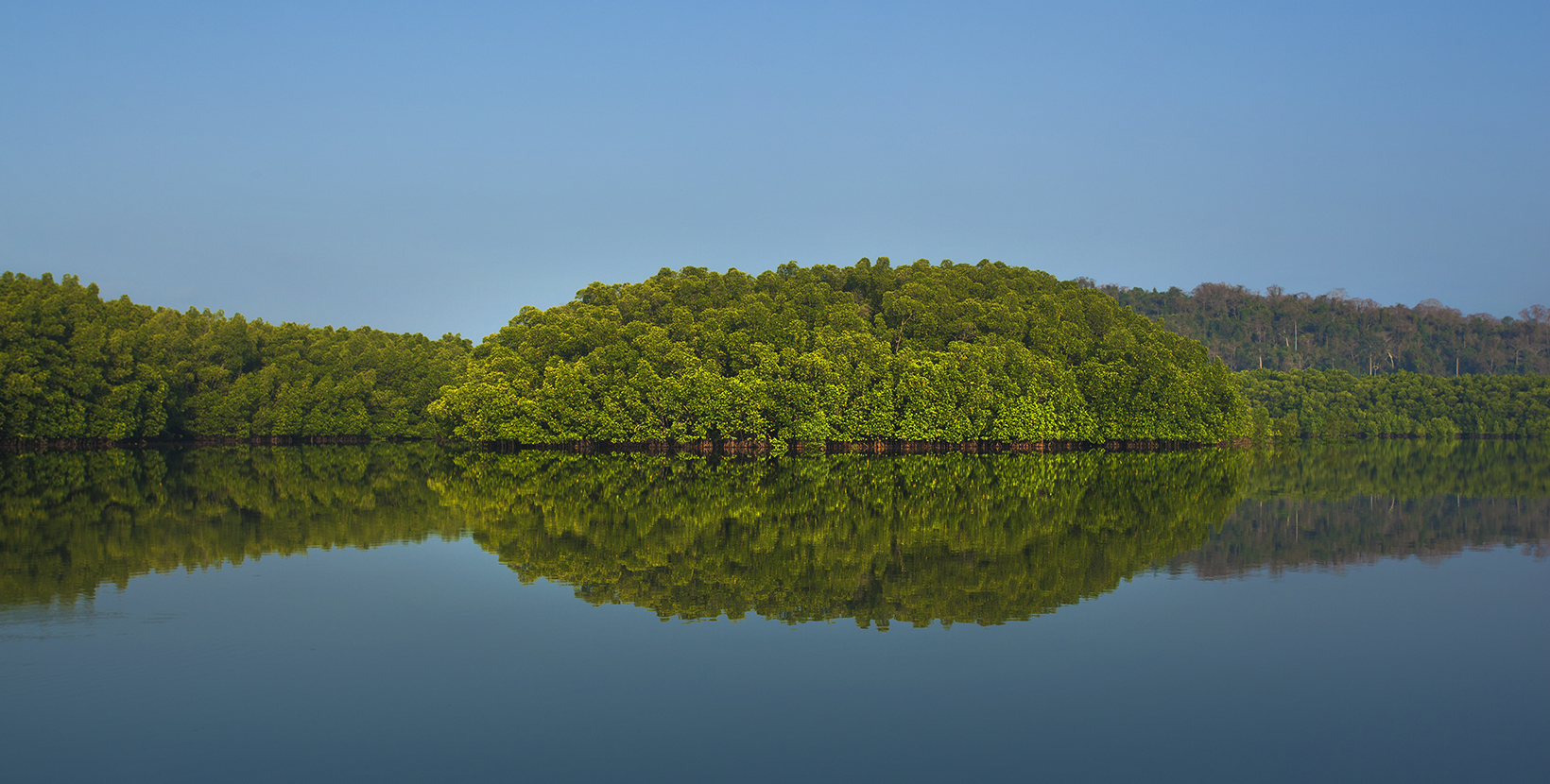 yerrata-creek-rangat-andaman-&-nicobar-islands2