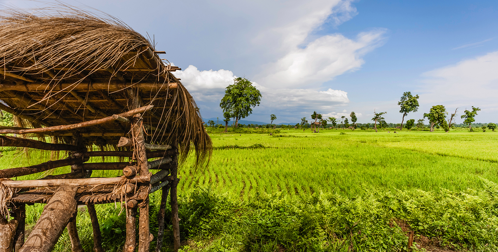 Bhalukpong, Arunachal Pradesh, India. Thatched timber lookout of Missing tribe as protection for cultivated land against wild animals. Bhalukpong, Arunachal Pradesh, India.