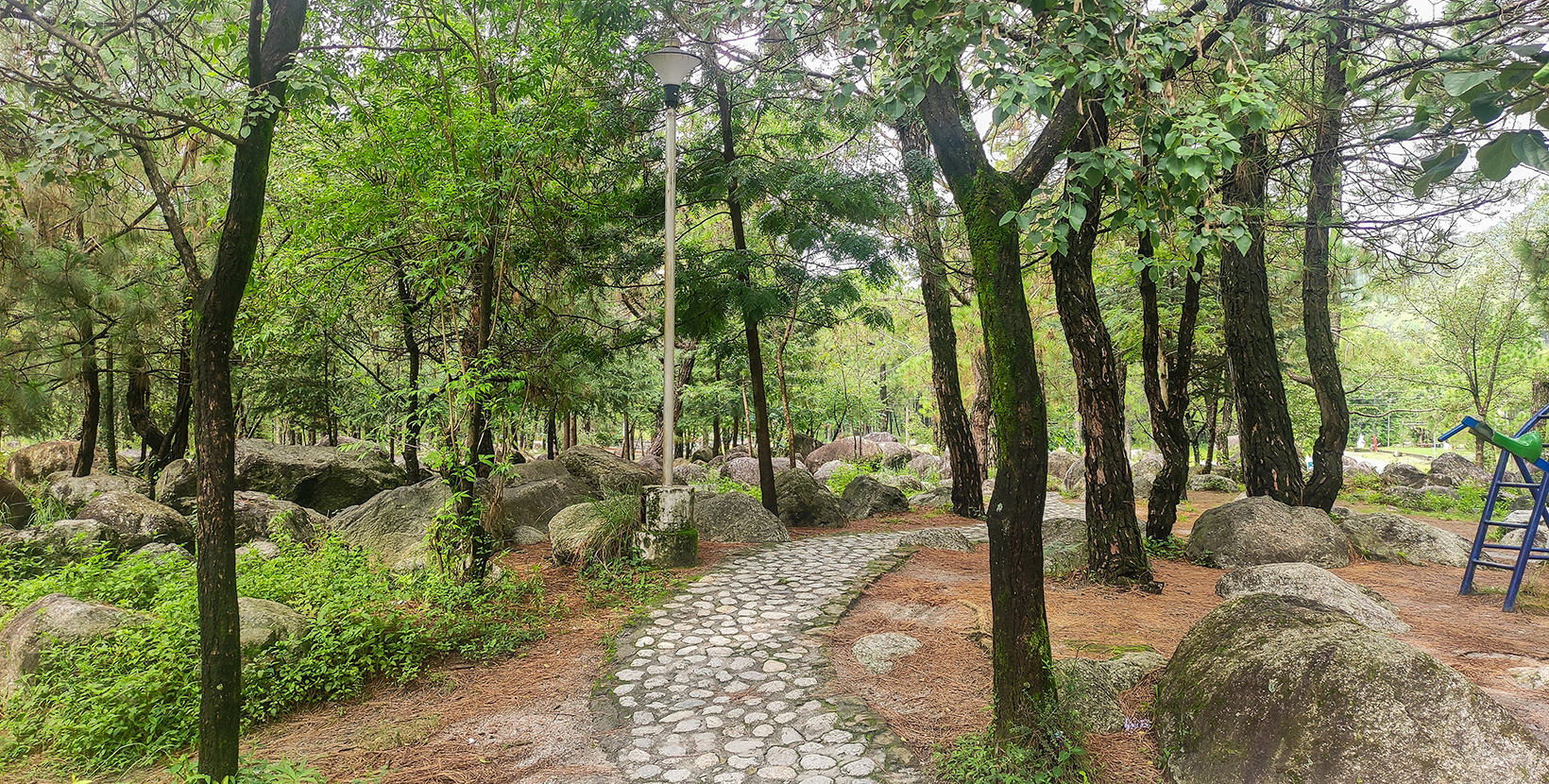 Beautiful trail made with rocks through the trees in Saurabh Van Vihar Palampur Himachal Pradesh India.