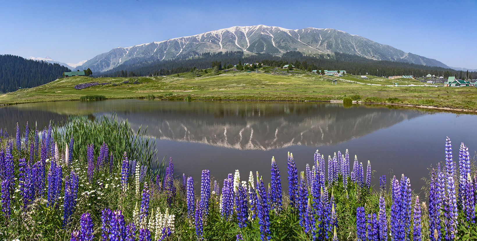 khilanmarg-gulmarg-srinagar