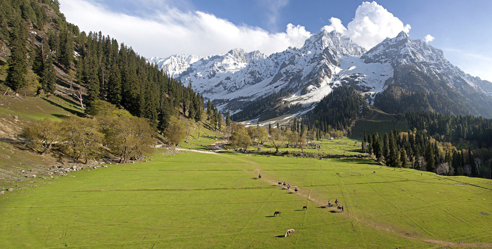 sonmarg--j_k-5