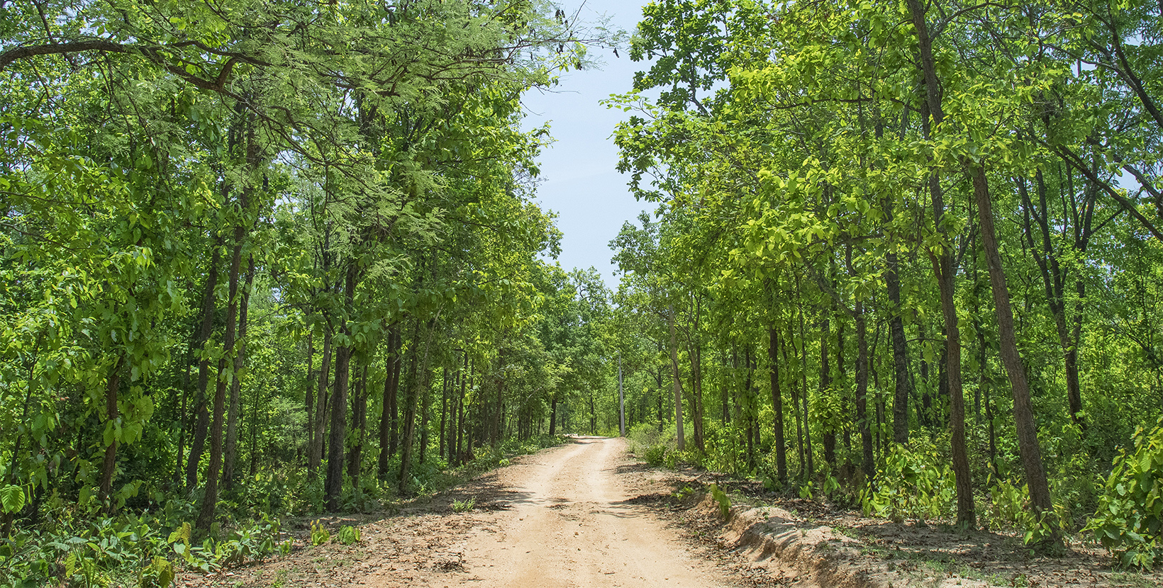 hazaribagh-national-park