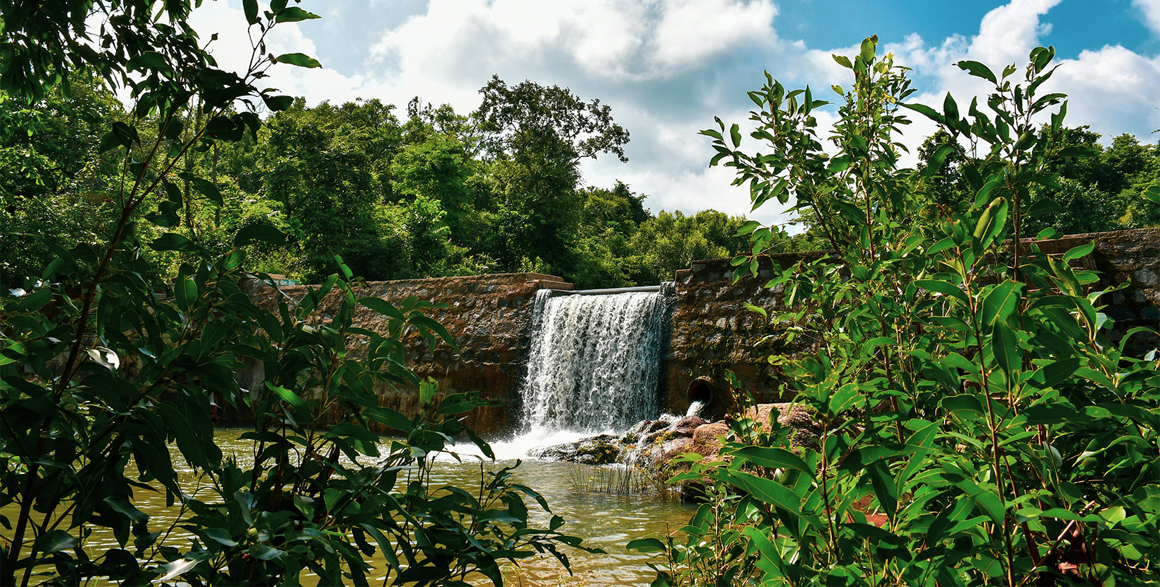 hazaribagh-national-park--4