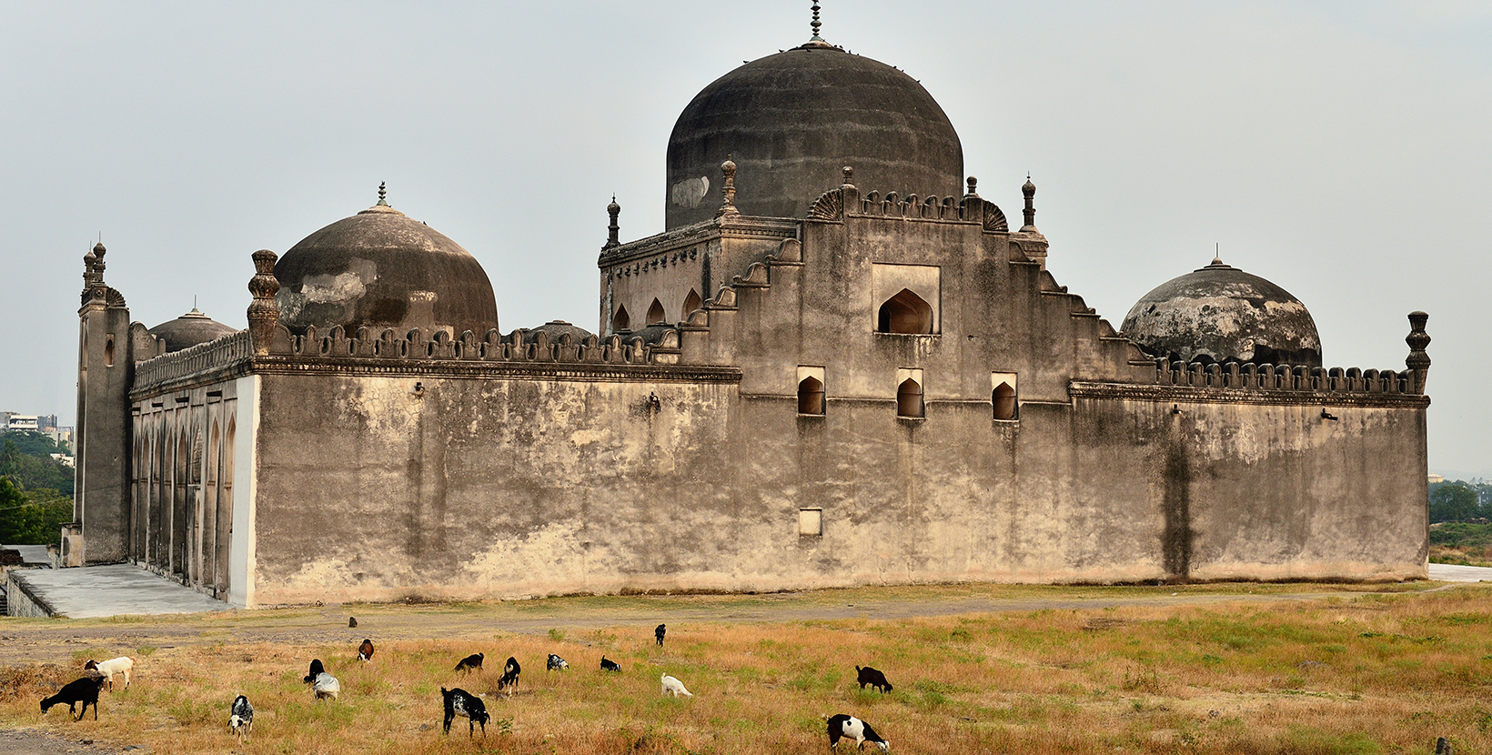  View of Gulbarga Jamia Mosque built in 14th century, Karnataka, India.