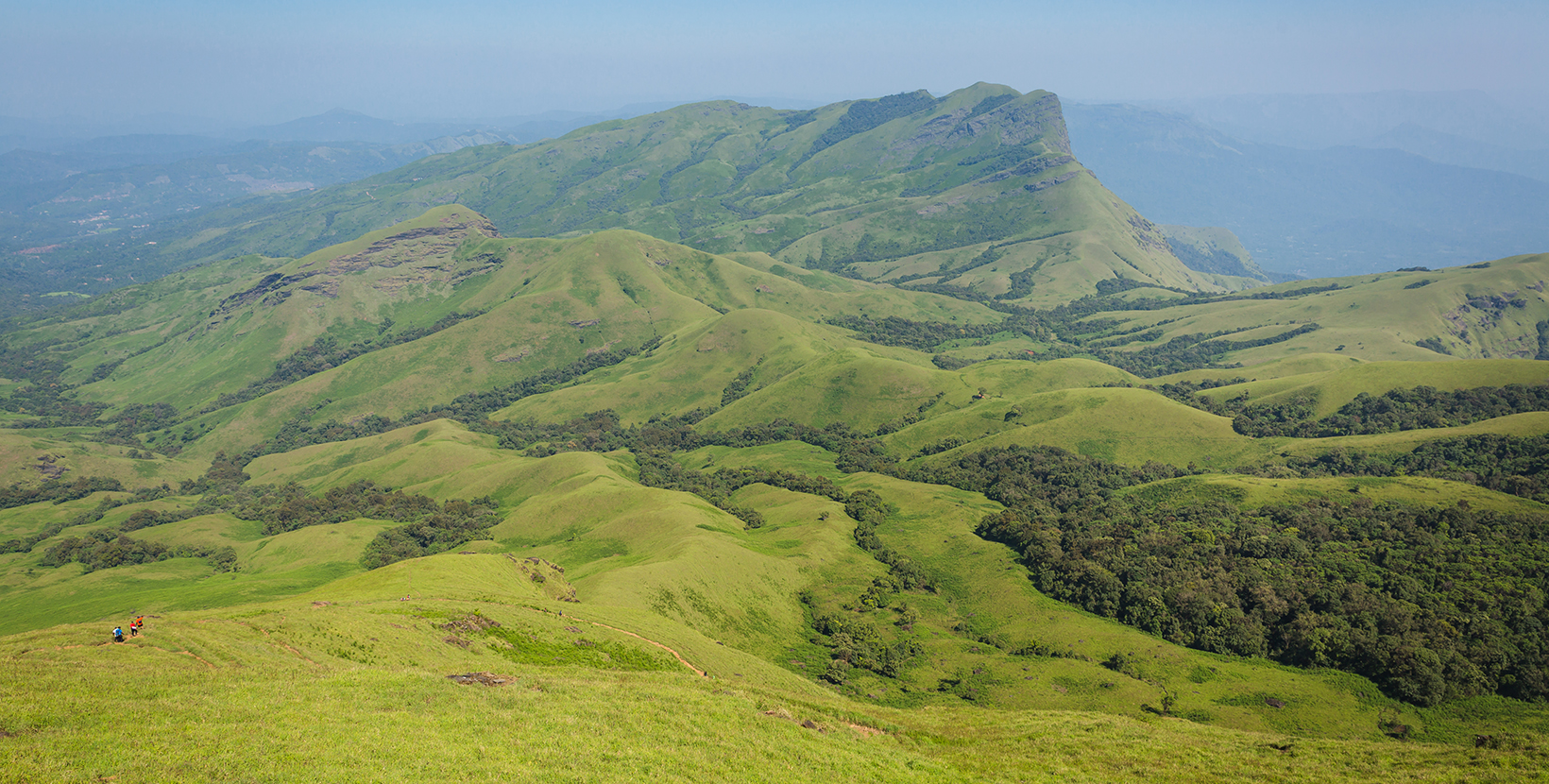 Trekking / Hiking at Kudremukh or Kudremukha national park in Chikmagalur, Karnataka, India. Nature walk amidst green landscape in monsoon season. Beautiful greenery in Forest/ jungle. Tiger reserve