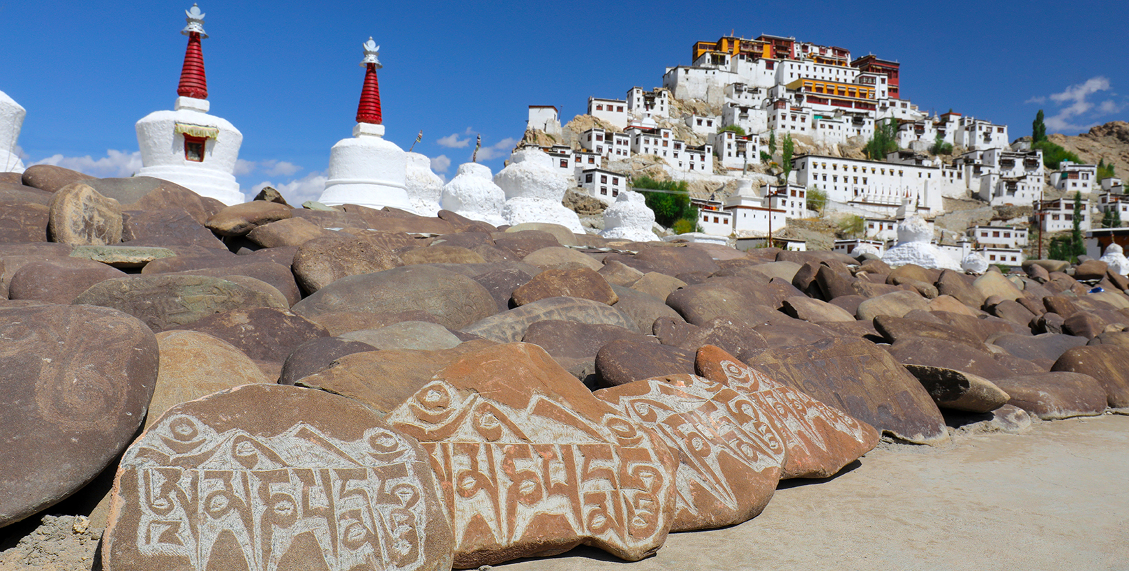 2-thiksey-monastery-2