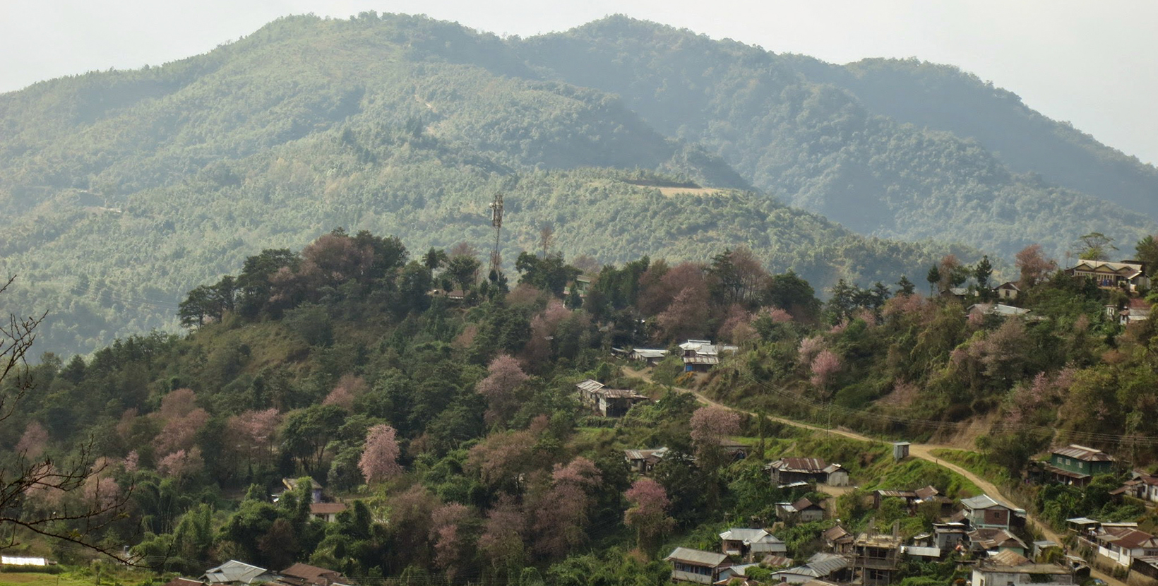 Landscape around the beautiful town of Pfutsero in the Phek district of Nagaland.