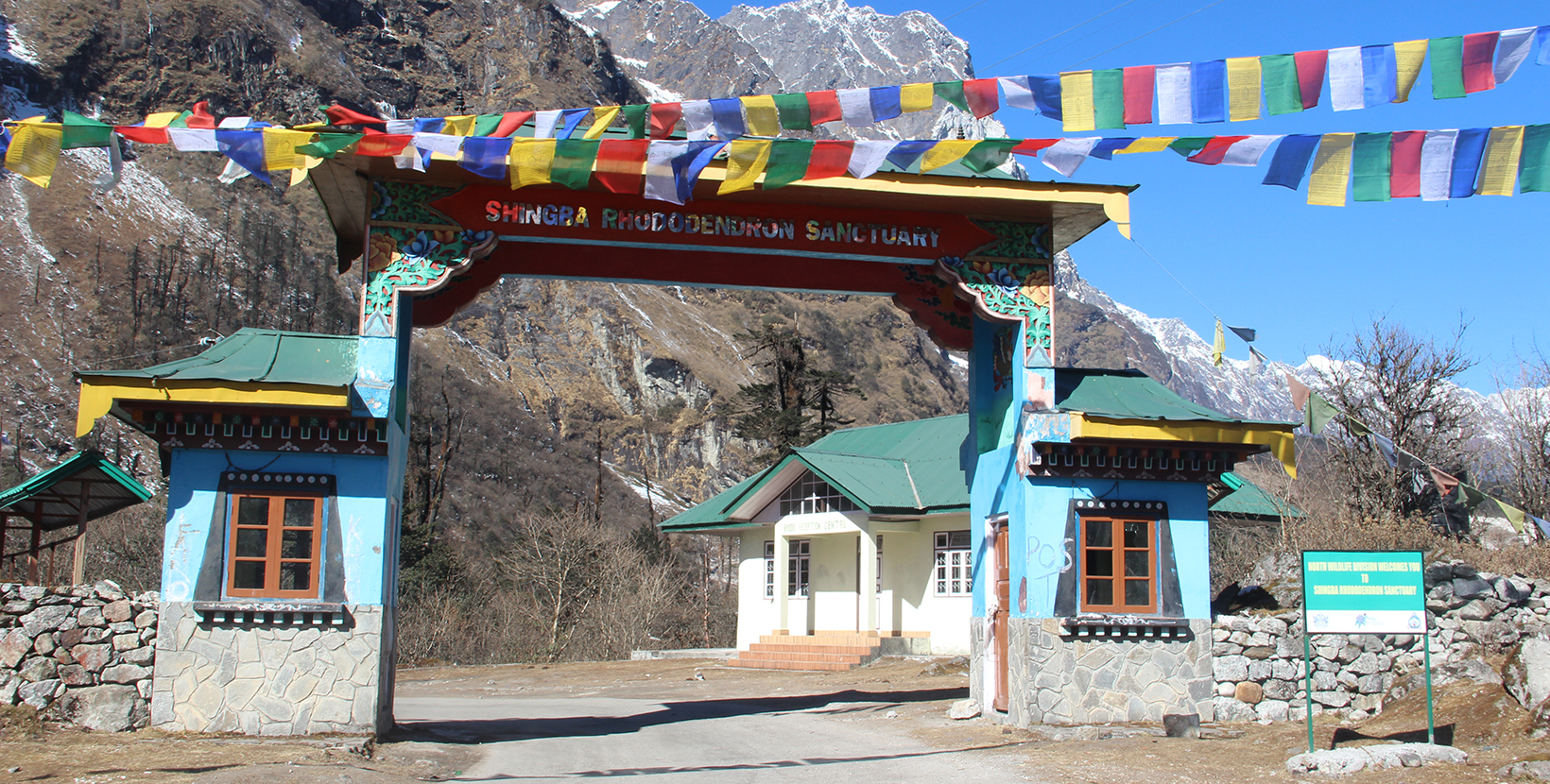 shingba-rhododendron-lachung-tri-iter-day4