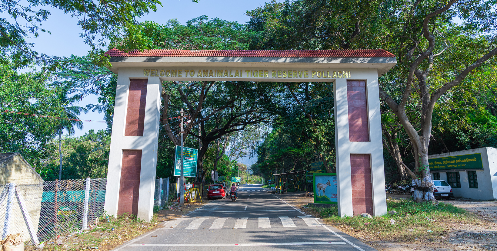 anamalai-tiger-reserve--2