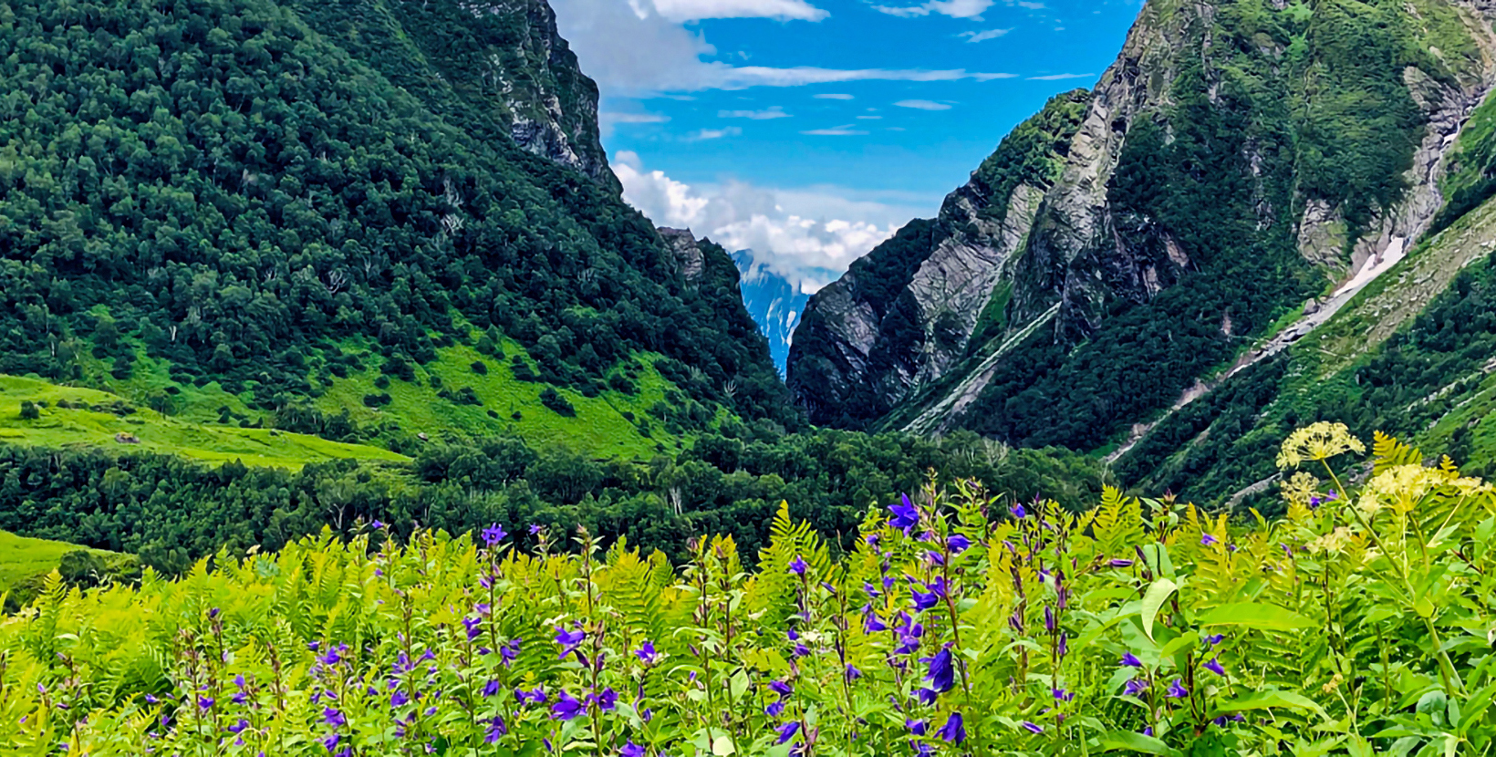 valley-of-flowers-badrinath-tri-iter-day2