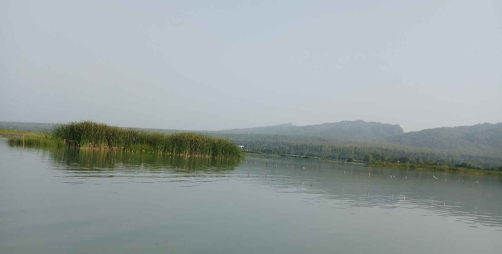 Asan Barrage Near Dehradun Uttarakhand.  A view of Asan Lake.