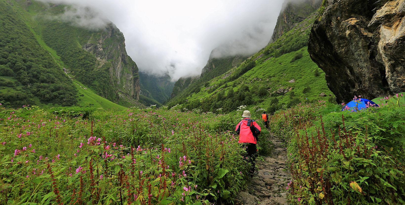 Young female climber walking down grassy rocky hill in green beautiful mountains in india. Woman tourist breathtaking view amazing nature healthy lifestyle,valley of flower,india