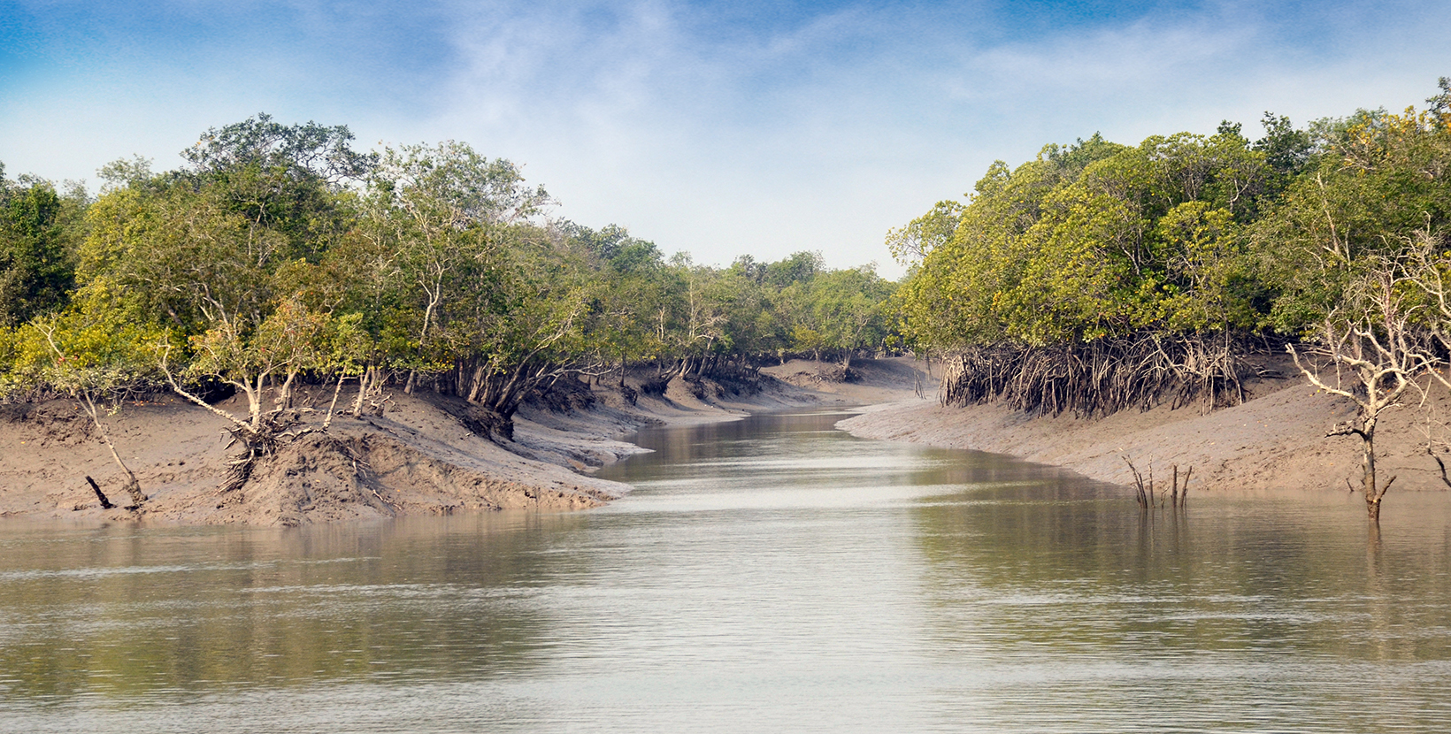 4-sundarbans-kolkata-wb4